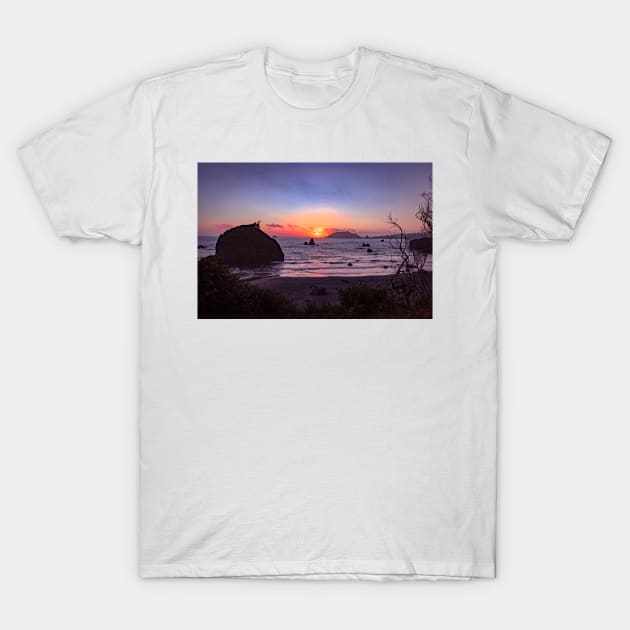 Houda Point beach overlook T-Shirt by blossomcophoto